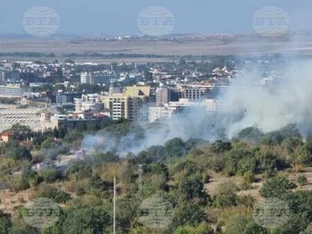 Подпалили са се сухи треви и храсти Пожар гори в