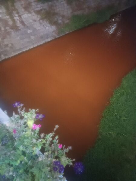 Глоби за тази мръсотия