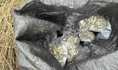 Удар на "Тракия": Спипаха издирван престъпник с марихуана за 1,7 млн. лева