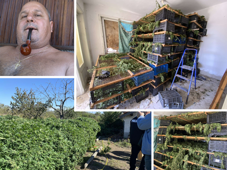 Лоша новина за наркоземеделеца Димо Минев