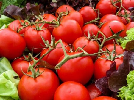 Това отчитат производителите Розово домати и дини през октомври –