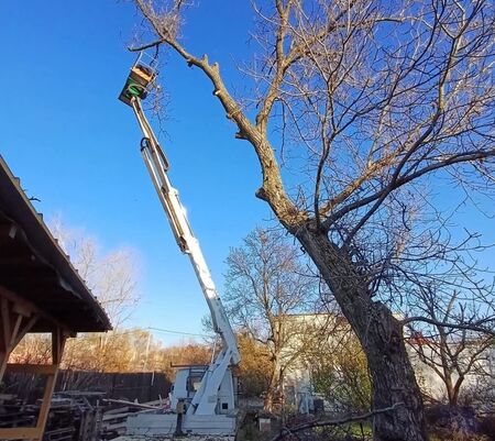 Бурен вятър притесни Перник