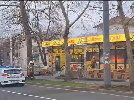 Потрес! Бургазлийка откри две отровени котки до култови бургаски дюнери
