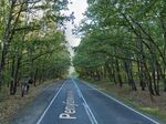 Важно за пътуващите към Приморско