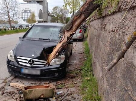 Стовари се върху рибарското пристанище Ураганен вятър повали дървета в