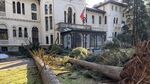 Редки видове дървета загиват в занемарения парк Врана