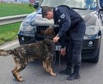 Мощна полицейска акция, има много арестувани