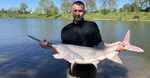 Няма да повярвате с каква двуметрова риба зарибиха река Тунджа