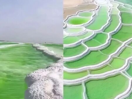 Вижте къде в Бургас да изкарате курс за оръжие или да постреляте за удоволствие