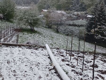 В средата на май: Сняг заваля в...