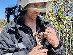 Вижте как огнеборци спасиха три новородени котенца в Поморие