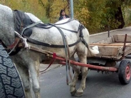 Деца с каруца блъснаха възрастен мъж, той е с опасност за живота