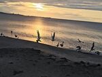 Какво ще е времето днес?