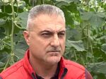 Албански и гръцки зеленчуци заливат пазара