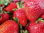 Ягодите губят вкус в хладилника: съхранявайте ги по този начин и те ще станат по-сладки