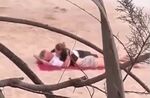 Заснеха Швайнщайгер с българка на плажа, заради нея зарязал Ана Иванович