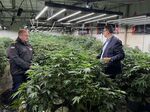 Разбитата нарколаборатория на Мисирката е с продукция за милиони
