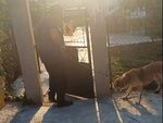 Втори арест след грозното деяние – разследването продължава под прякото ръководство на Районна прокуратура-Бургас