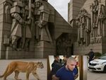 История за пернишкото синче и шуменската пума