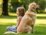 Защо кучето обръща гръб на стопанина си, когато стои до него? Малцина знаят за това