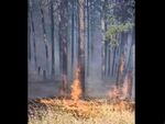 Обстановката е изключително динамична, а на терен се прави всичко възможно да бъде спрян огънят преди да нанесе сериозни щети