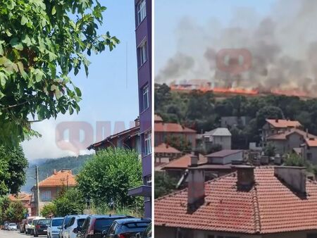 Извънредно! Гори боровата гора на Карнобат