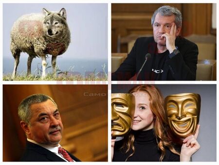 Защо красиво поднесените лъжи печелят избиратели