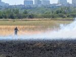 Заради силния вятър огънят влиза в резервата. На място има екипи на пожарната