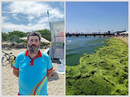 Ранният цъфтеж на водорасли тази година показва, че морето ни е по-чисто от всякога