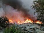 РСМ обяви кризисно положение