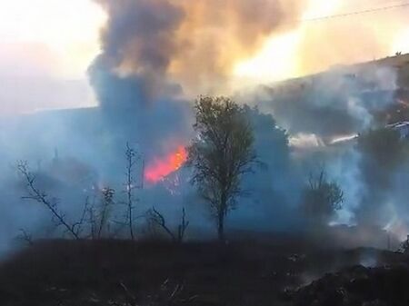 Гората над Банево отново пламна, бургаската пожарна се вдигна на крак