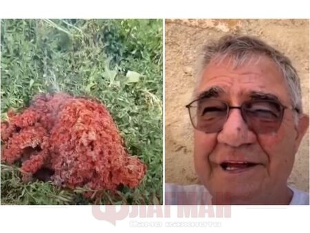 НЛО ли падна в Якоруда? Не е метеорит, категорични са учените
