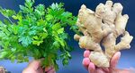Смесете тези продукти и направете домашна напитка за отслабване