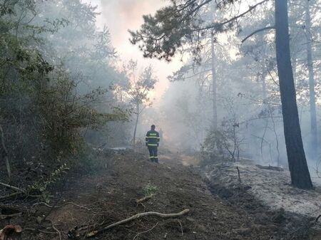 Голям пожар в Поморийско, 24 часа не могат да го загасят