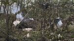 Баба се спасила от обречения руски Ан-24, слязла от самолета минути преди да излети