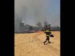 2 дка дървета и ниви изгоряха край айтоското село Поляново (ВИДЕО)