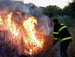 С дрон заловиха пироман в село Плоски