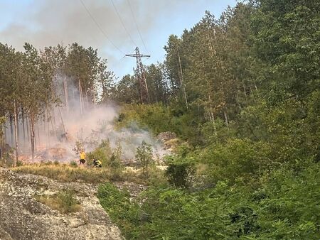 Пожар горя в Шуменското плато, има обгазени доброволци