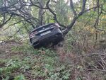 БМВ се заби по странен начин в дърво