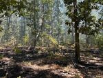 Кошмар в Средецко: Пожарът вече бушува на два фронта (ЕКСКЛУЗИВНИ СНИМКИ)