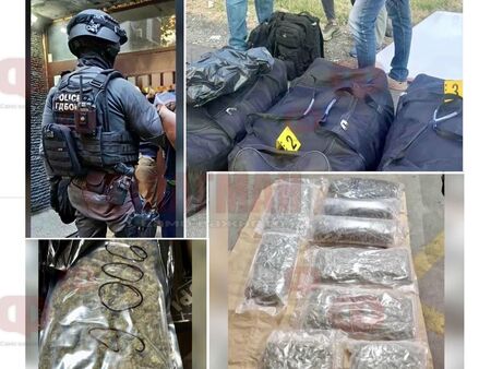 Разбиха банда за трафик на дрога, близо 90 кг марихуана е иззета в Бургас, Пловдив и София