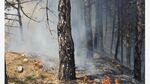 Локализираха пожара в Пирин