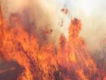 37-годишен мъж почина при гасене на пожар в Испания