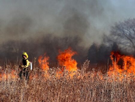 Голям пожар вилня в Карнобатско