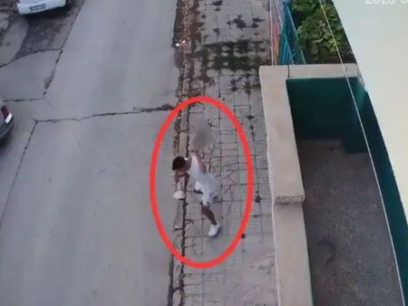 Съпругата на Пламен Бобоков блесна в галерията на Ники Младжов (СНИМКИ)