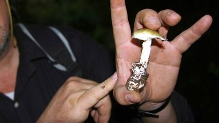Жена уби родата на мъжа си с...гъби