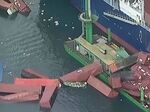 Десетки контейнери паднаха от кораб в пристанището на Лонг Бийч