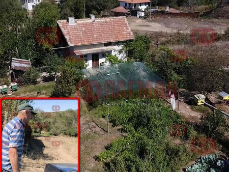 Вижте градината на прокурорския син от Бургас - ред краставици, ред зеле и много марихуана