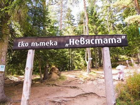 Разтърсващи подробности за убийството на екопътека "Невястата"