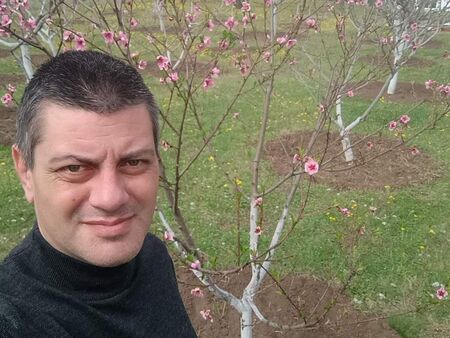 В Бургас ПП"Възраждане" яхна вечната тема на "Зелените"с опасните дървета, вижте какво иска от Общината